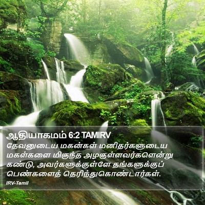 ஆதியாகமம் 6:2 TAMIRV Bible Verse Image