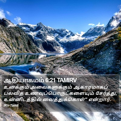 ஆதியாகமம் 6:21 TAMIRV Bible Verse Image