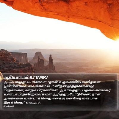 ஆதியாகமம் 6:7 TAMIRV Bible Verse Image