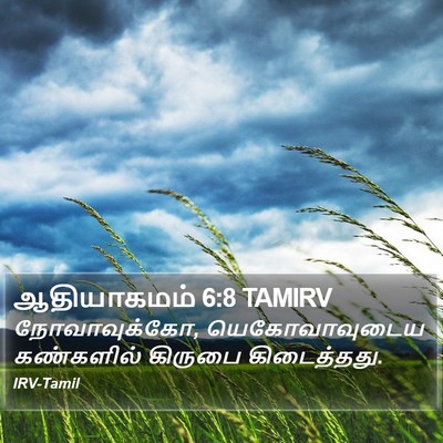 ஆதியாகமம் 6:8 TAMIRV Bible Verse Image