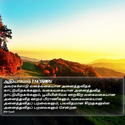 ஆதியாகமம் 7:14 TAMIRV Bible Verse Image