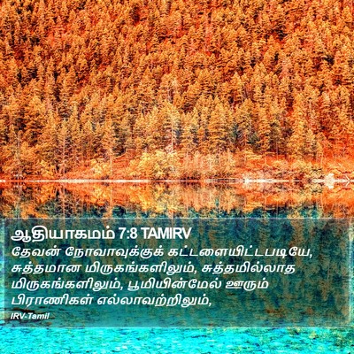ஆதியாகமம் 7:8 TAMIRV Bible Verse Image
