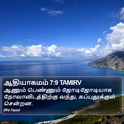 ஆதியாகமம் 7:9 TAMIRV Bible Verse Image