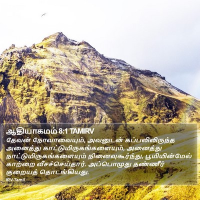 ஆதியாகமம் 8:1 TAMIRV Bible Verse Image