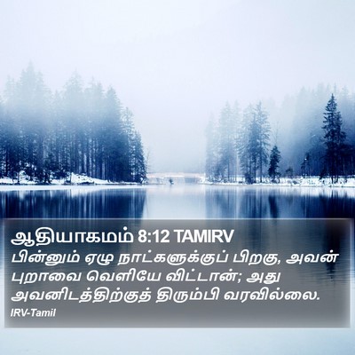 ஆதியாகமம் 8:12 TAMIRV Bible Verse Image
