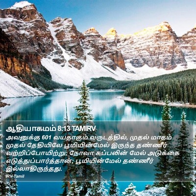 ஆதியாகமம் 8:13 TAMIRV Bible Verse Image
