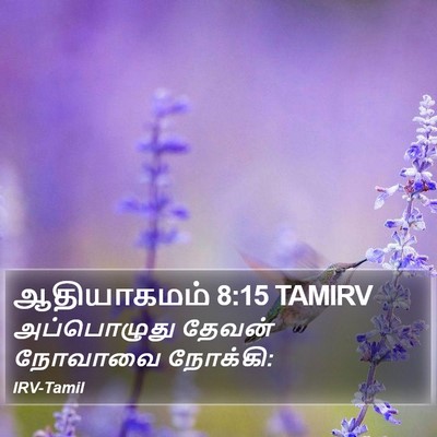 ஆதியாகமம் 8:15 TAMIRV Bible Verse Image