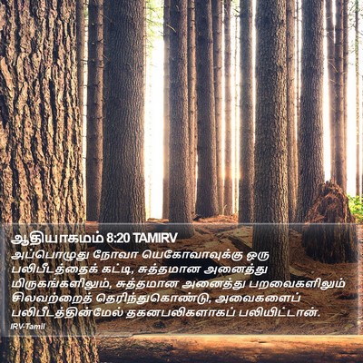 ஆதியாகமம் 8:20 TAMIRV Bible Verse Image