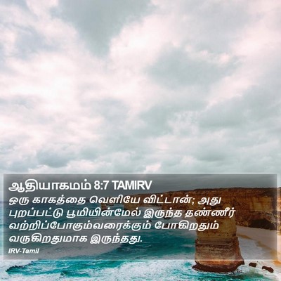 ஆதியாகமம் 8:7 TAMIRV Bible Verse Image