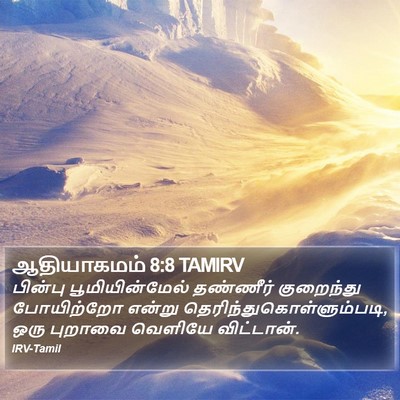 ஆதியாகமம் 8:8 TAMIRV Bible Verse Image