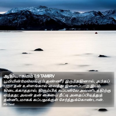 ஆதியாகமம் 8:9 TAMIRV Bible Verse Image