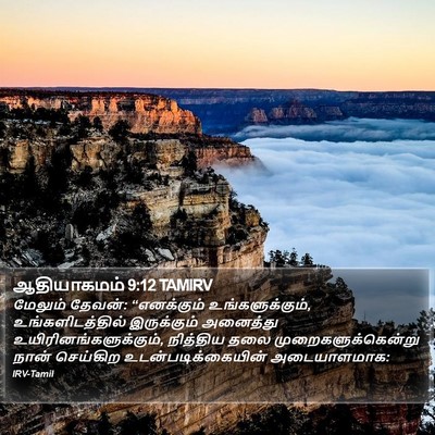 ஆதியாகமம் 9:12 TAMIRV Bible Verse Image