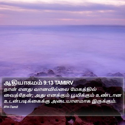 ஆதியாகமம் 9:13 TAMIRV Bible Verse Image