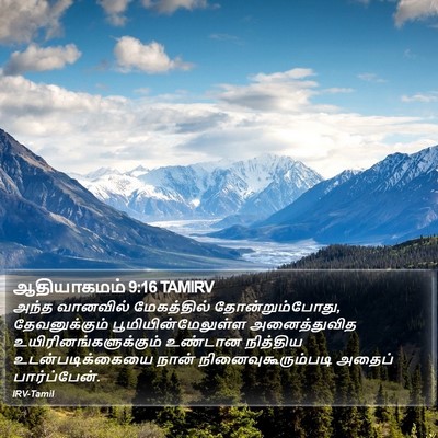 ஆதியாகமம் 9:16 TAMIRV Bible Verse Image