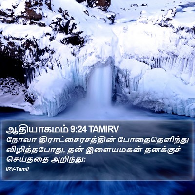 ஆதியாகமம் 9:24 TAMIRV Bible Verse Image