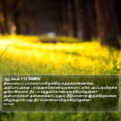 ஆபகூக் 1:13 TAMIRV Bible Verse Image