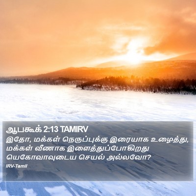 ஆபகூக் 2:13 TAMIRV Bible Verse Image