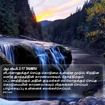 ஆபகூக் 2:17 TAMIRV Bible Verse Image