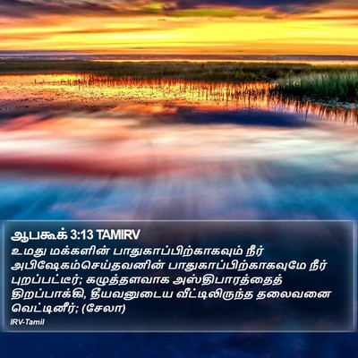 ஆபகூக் 3:13 TAMIRV Bible Verse Image