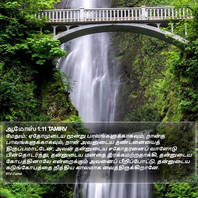 ஆமோஸ் 1:11 TAMIRV Bible Verse Image