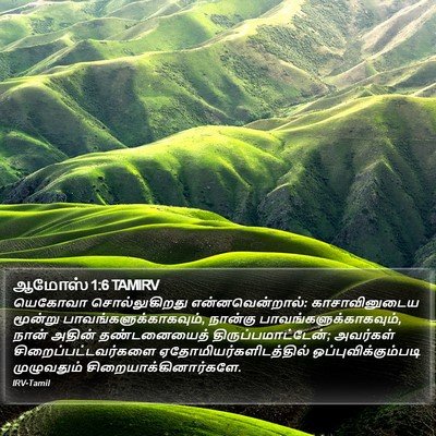 ஆமோஸ் 1:6 TAMIRV Bible Verse Image