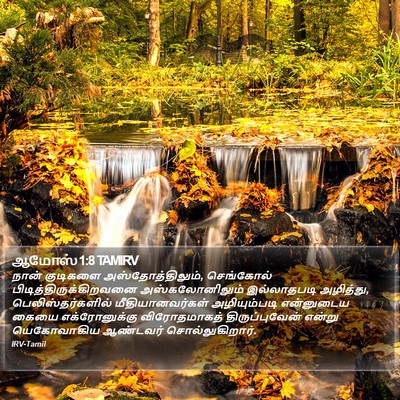 ஆமோஸ் 1:8 TAMIRV Bible Verse Image