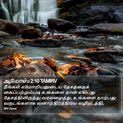 ஆமோஸ் 2:10 TAMIRV Bible Verse Image