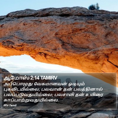 ஆமோஸ் 2:14 TAMIRV Bible Verse Image