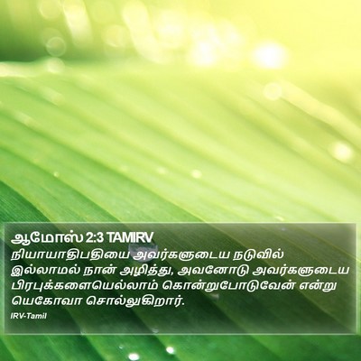 ஆமோஸ் 2:3 TAMIRV Bible Verse Image