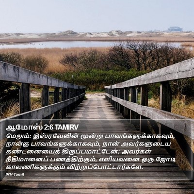 ஆமோஸ் 2:6 TAMIRV Bible Verse Image