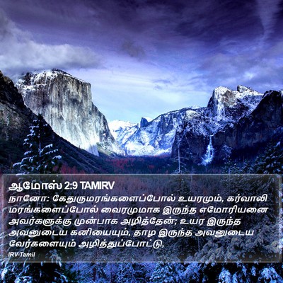 ஆமோஸ் 2:9 TAMIRV Bible Verse Image
