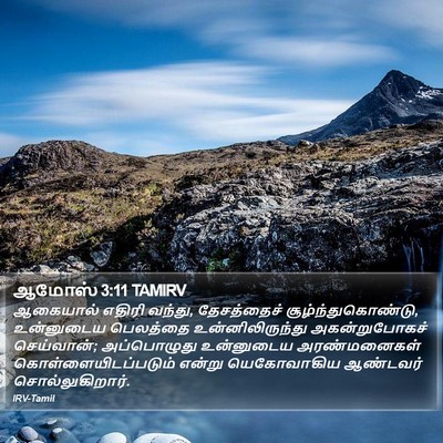 ஆமோஸ் 3:11 TAMIRV Bible Verse Image