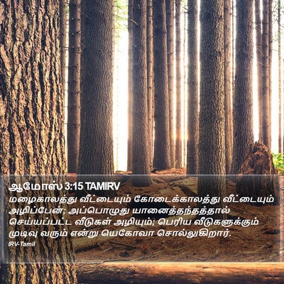 ஆமோஸ் 3:15 TAMIRV Bible Verse Image