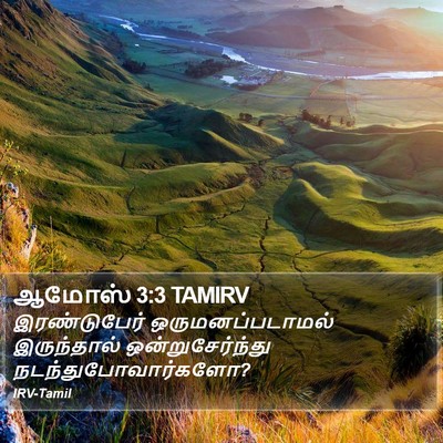 ஆமோஸ் 3:3 TAMIRV Bible Verse Image