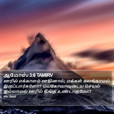 ஆமோஸ் 3:6 TAMIRV Bible Verse Image