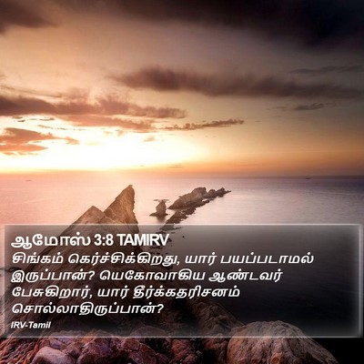 ஆமோஸ் 3:8 TAMIRV Bible Verse Image