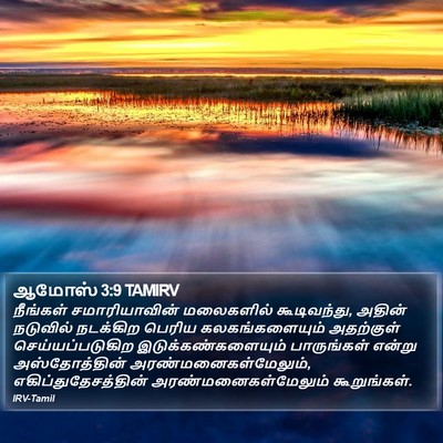 ஆமோஸ் 3:9 TAMIRV Bible Verse Image