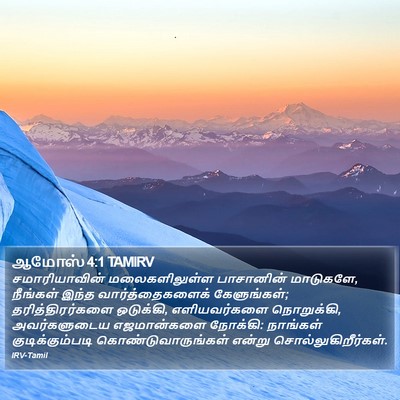 ஆமோஸ் 4:1 TAMIRV Bible Verse Image