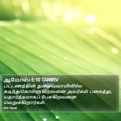 ஆமோஸ் 5:10 TAMIRV Bible Verse Image