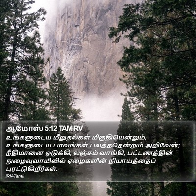ஆமோஸ் 5:12 TAMIRV Bible Verse Image
