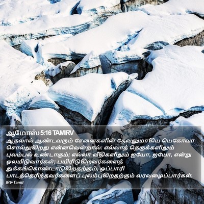 ஆமோஸ் 5:16 TAMIRV Bible Verse Image