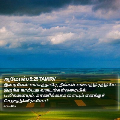 ஆமோஸ் 5:25 TAMIRV Bible Verse Image