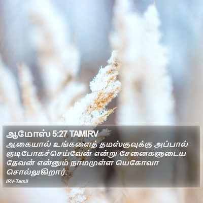 ஆமோஸ் 5:27 TAMIRV Bible Verse Image