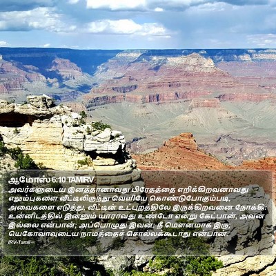ஆமோஸ் 6:10 TAMIRV Bible Verse Image
