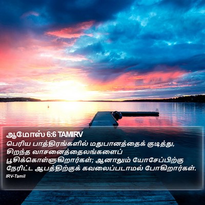 ஆமோஸ் 6:6 TAMIRV Bible Verse Image