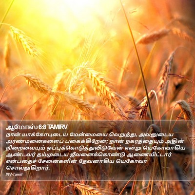 ஆமோஸ் 6:8 TAMIRV Bible Verse Image