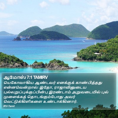ஆமோஸ் 7:1 TAMIRV Bible Verse Image