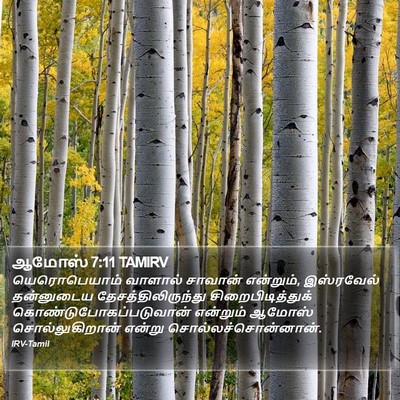 ஆமோஸ் 7:11 TAMIRV Bible Verse Image