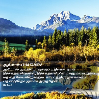 ஆமோஸ் 7:14 TAMIRV Bible Verse Image