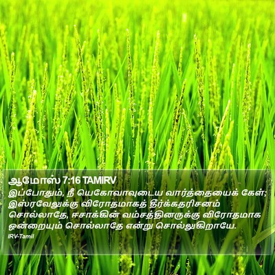 ஆமோஸ் 7:16 TAMIRV Bible Verse Image